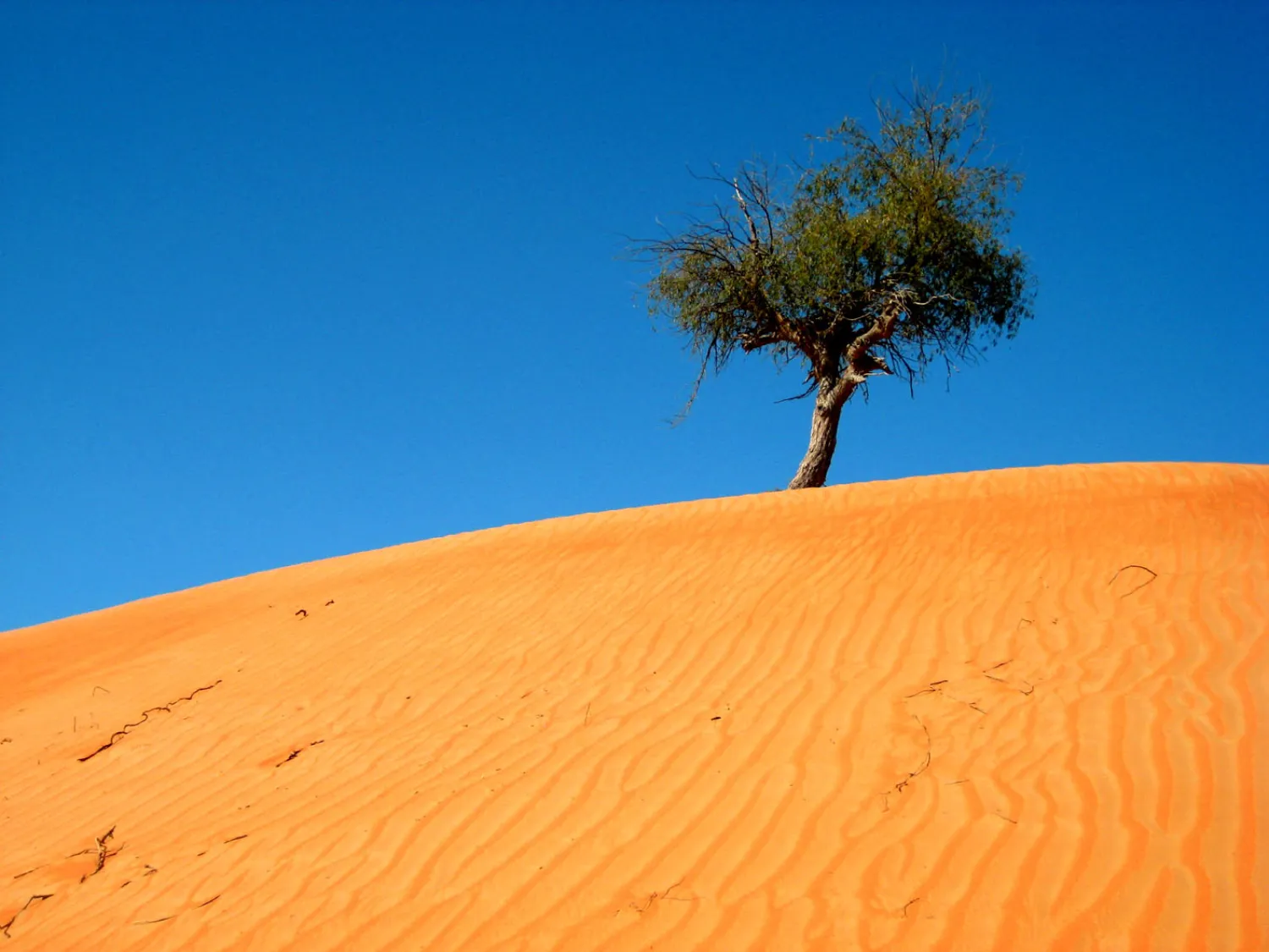 الحكومة المغربية تلغي الضريبة على الرمال