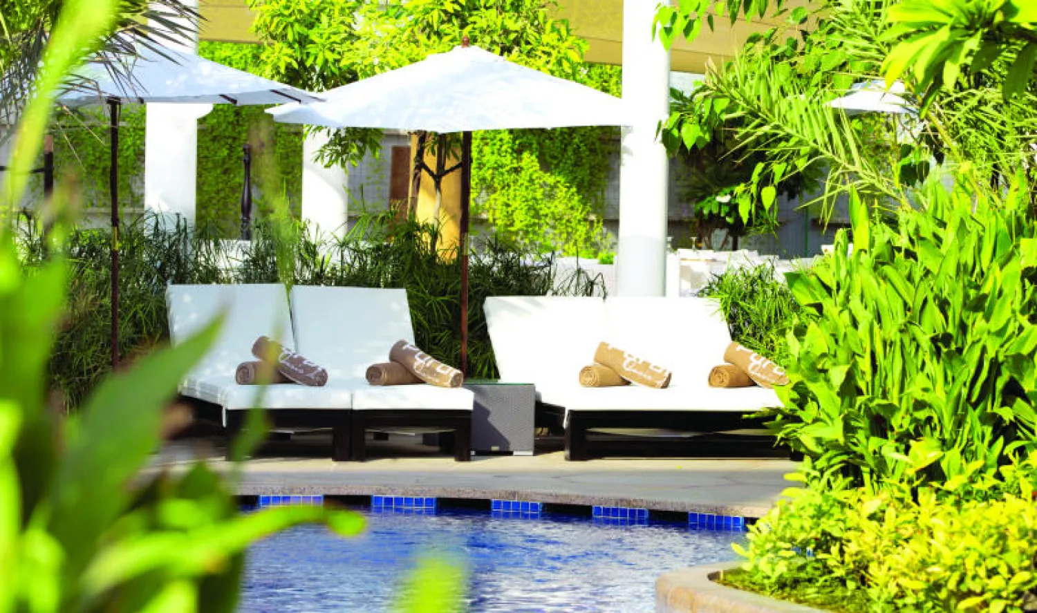 آخر مستجدات السياحة