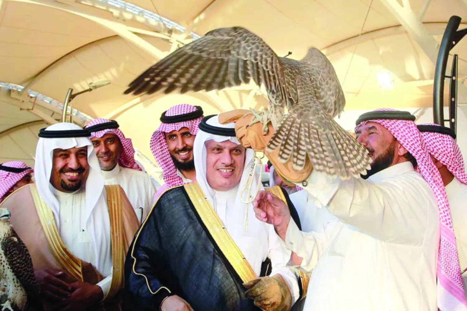 مبيعات «الصقور» في السعودية  تتجاوز 150 مليون ريال سنويا