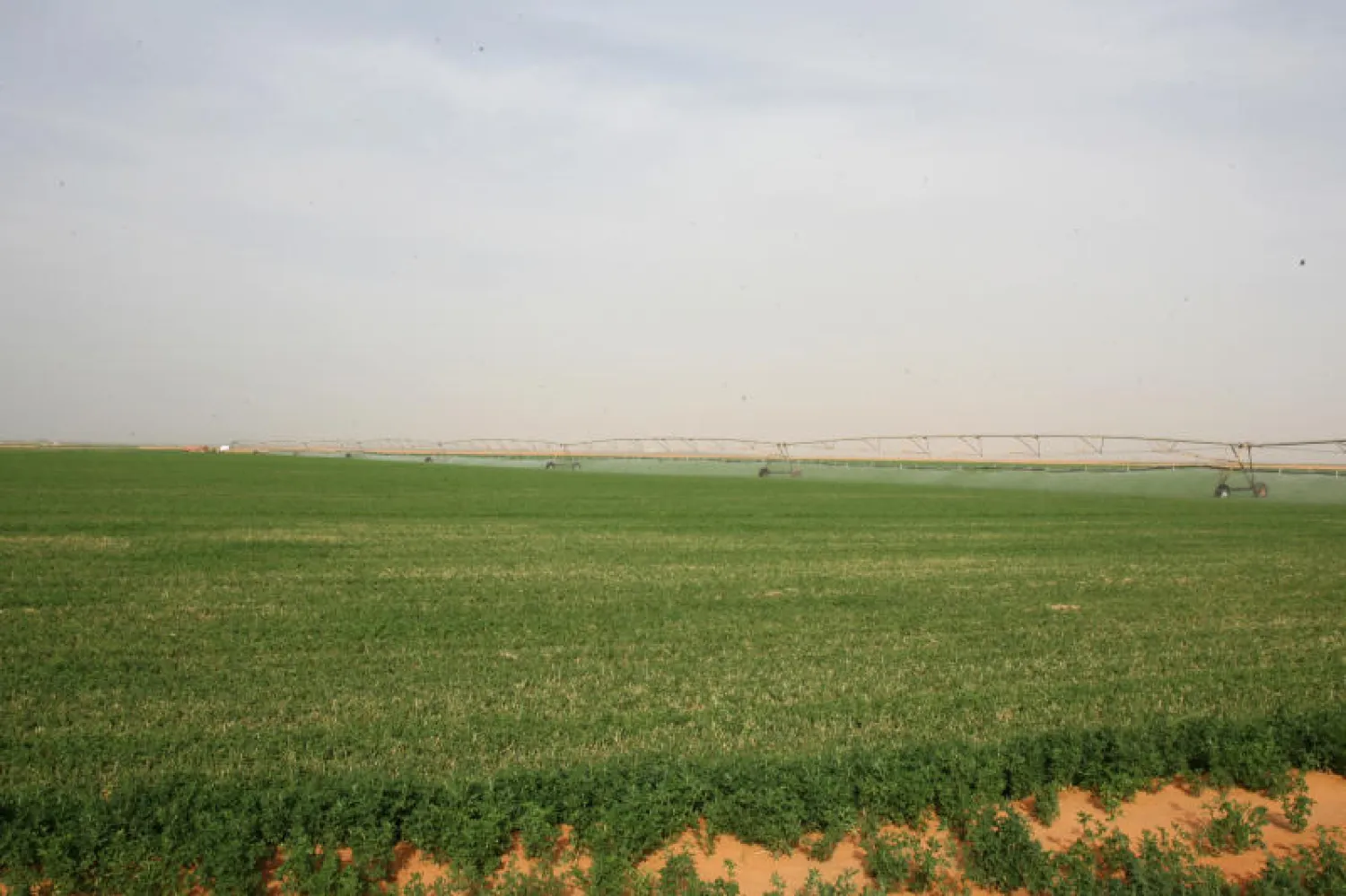 المؤشر السعودي لـ «أسعار الجملة» يصعد 1.1 في المائة خلال شهر