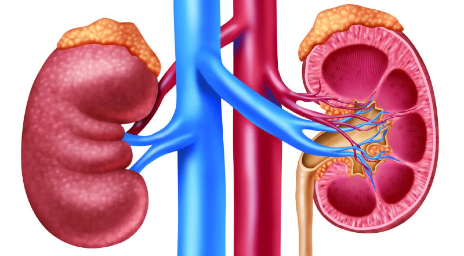 نقص نشاط الغدة الكظرية لدى الأطفال