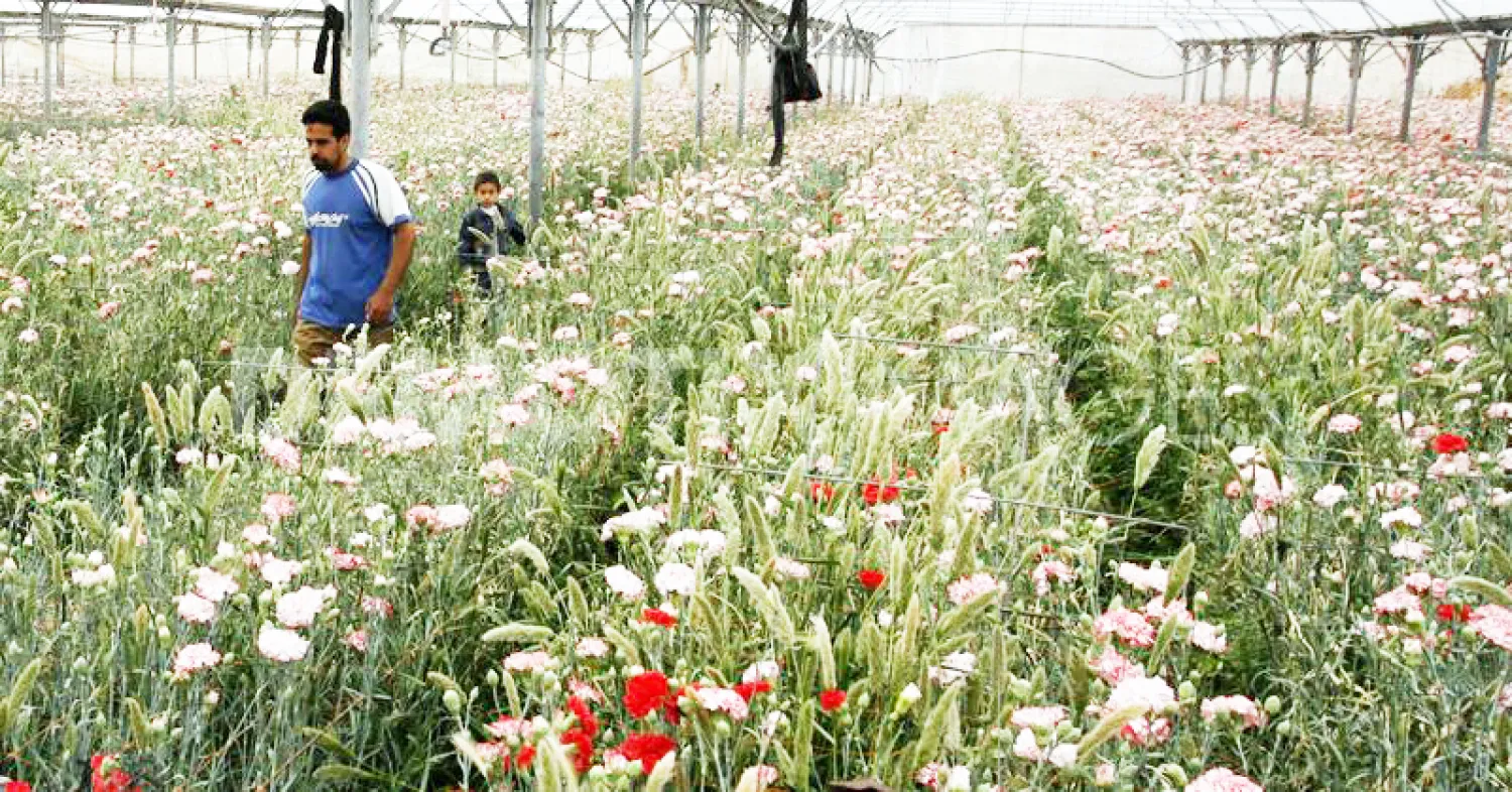 المنتدى الأول من نوعه للترويج للفرص الاستثمارية الفلسطينية في معهد العالم العربي في باريس