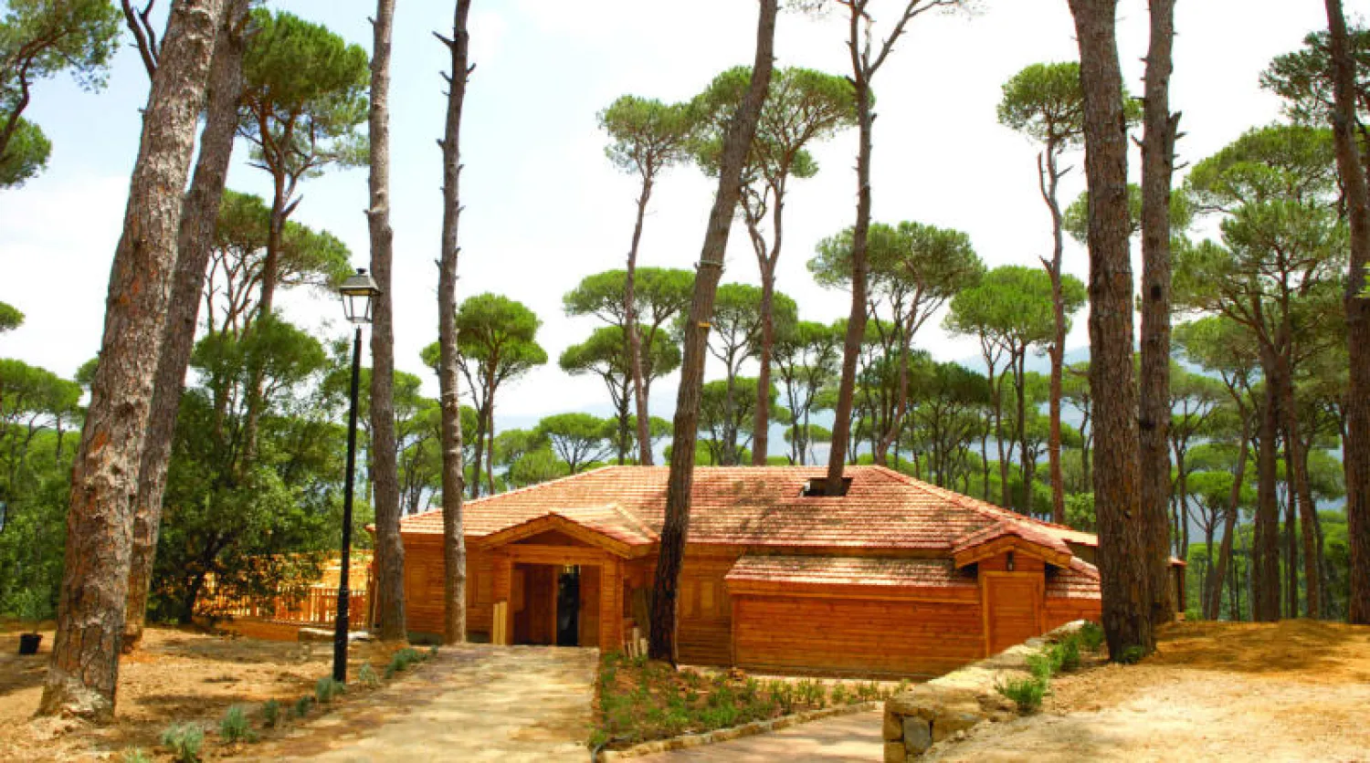 بيت الغابة من الخارج وسط أحراج الصنوبر