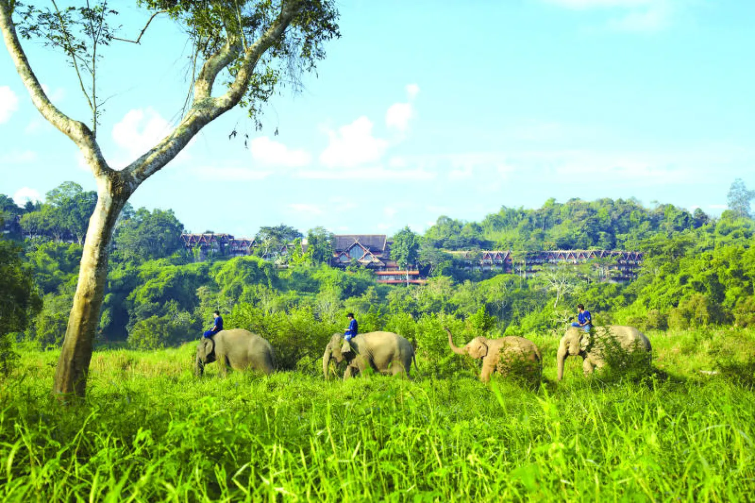 آخر مستجدات السياحة في العالم