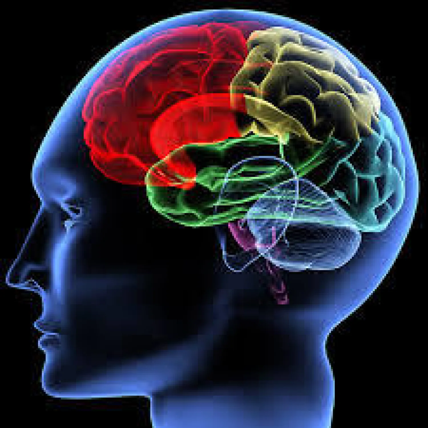 علماء من جامعة زيورخ ينجحون في حث الجهاز المناعي على مكافحة مرض السرطان