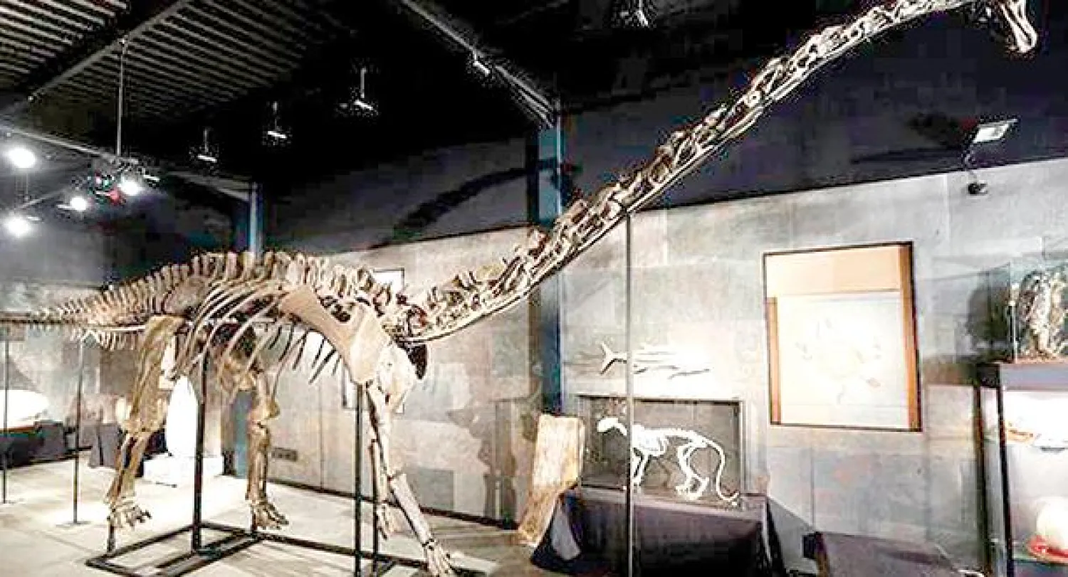 هيكل عظمي لديناصور ديبلودوكس