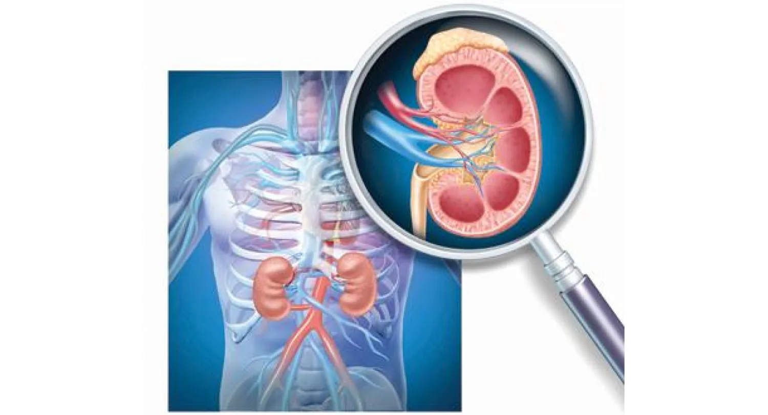 الوقاية من أمراض الكلى تحمي من الإصابة بعلل القلب