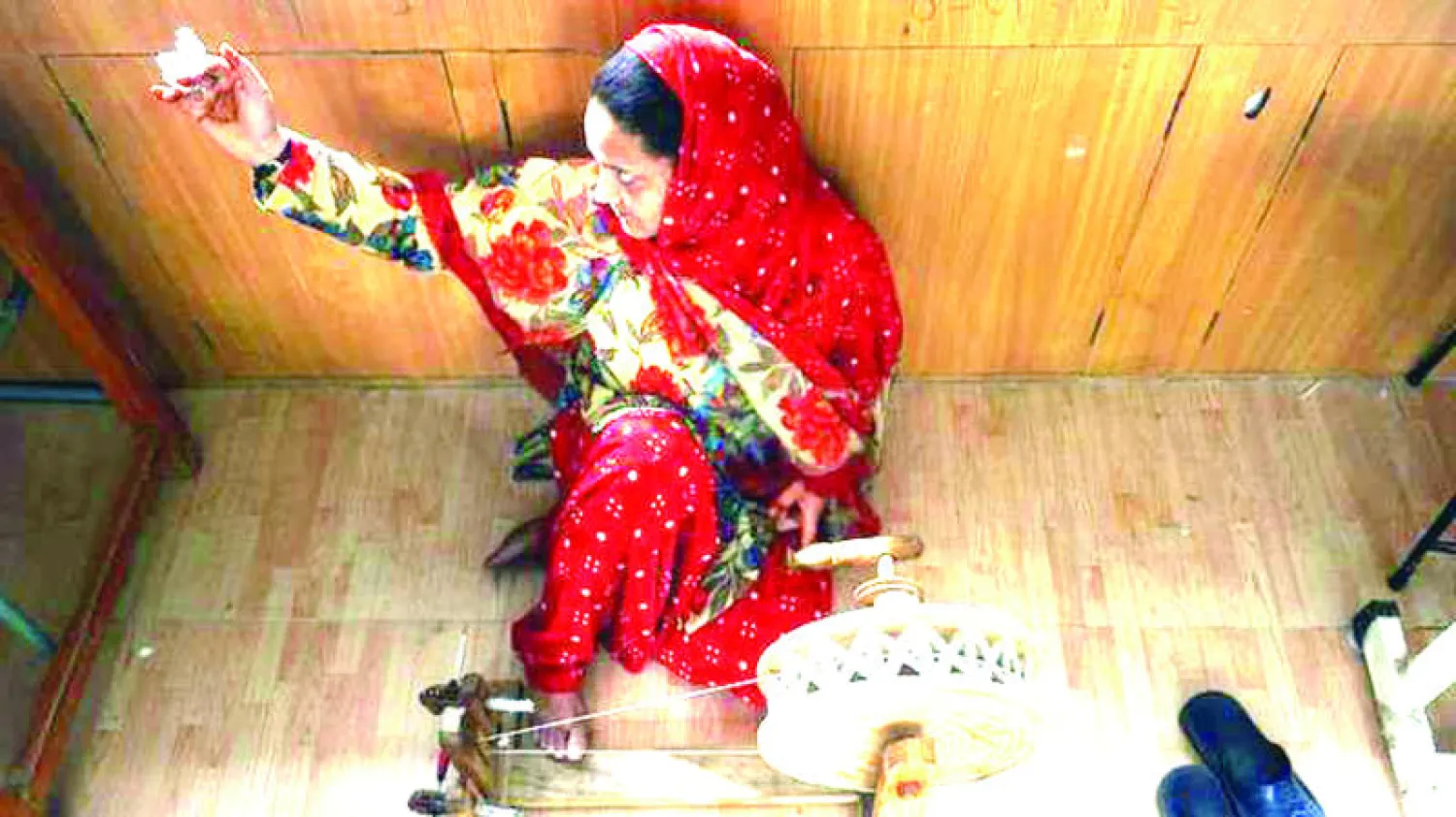 قماش الباشمينا في كشمير يدافع عن نفسه باستنساخ الماعز