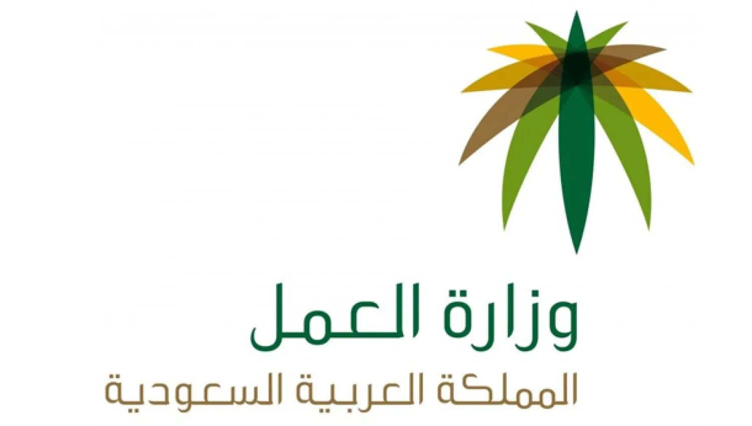 وزارة العمل تعتمد لجانا لتسوية خلافات عمال الخدمة المنزلية