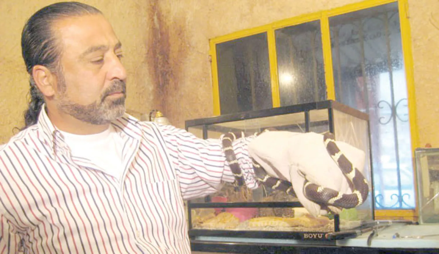 معيقل يداعب أفعى مرقطة بالأبيض والأسود