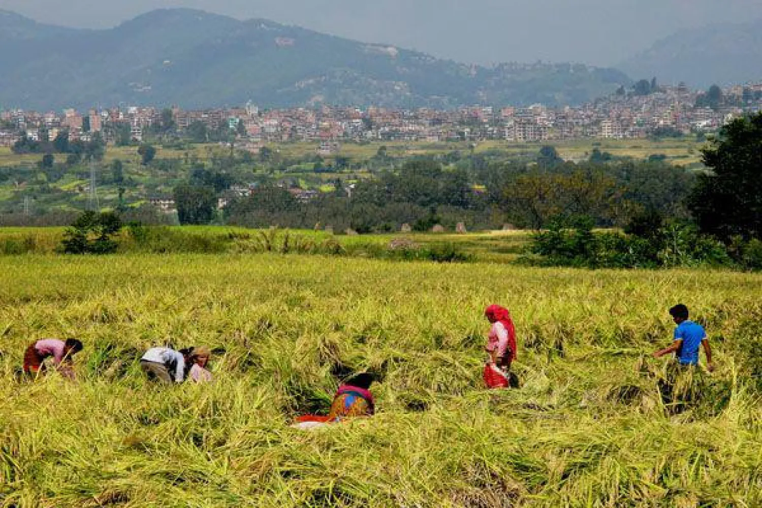 السعودية تستأنف استقدام العمالة المنزلية من النيبال