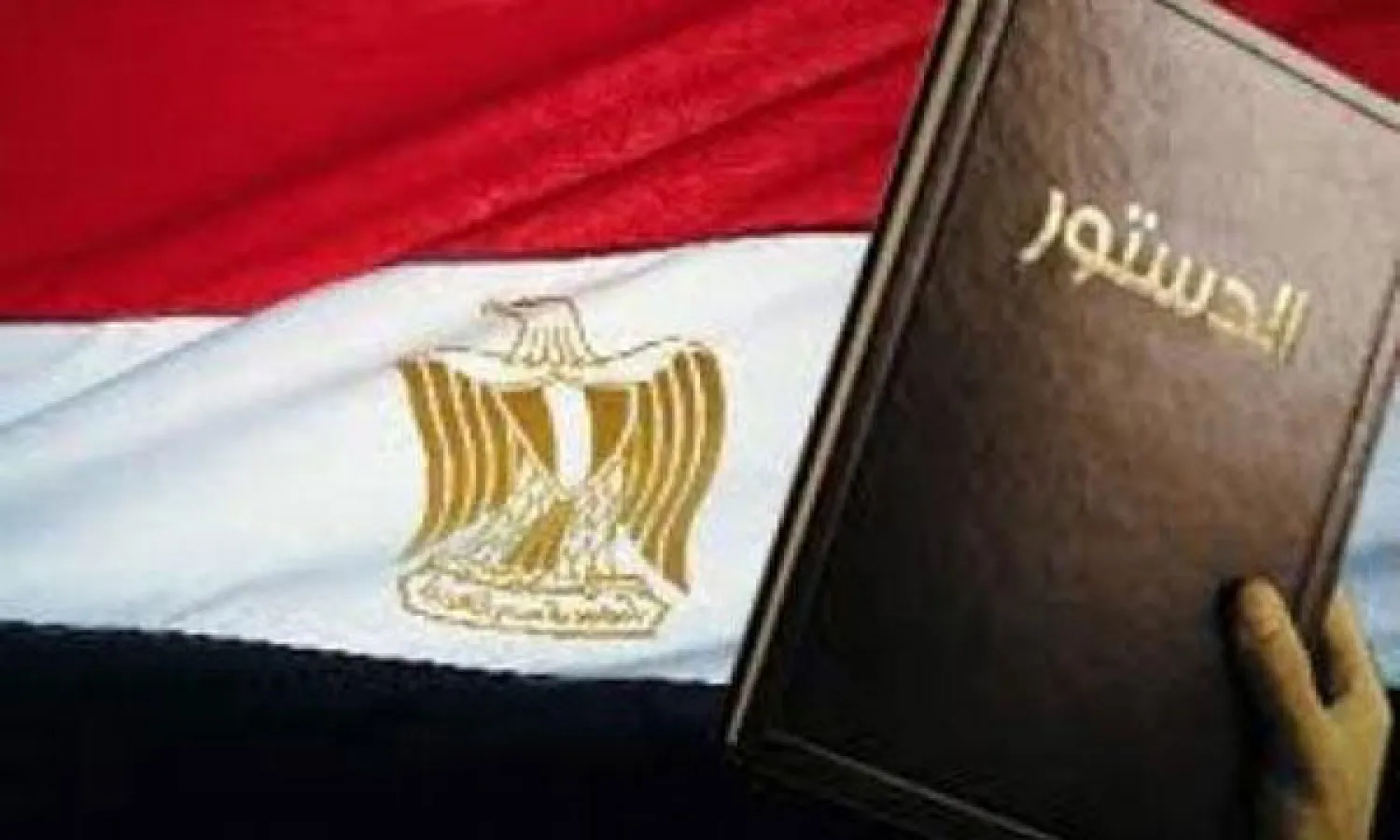 مصر تبدأ العد التنازلي للاستفتاء على دستورها الجديد