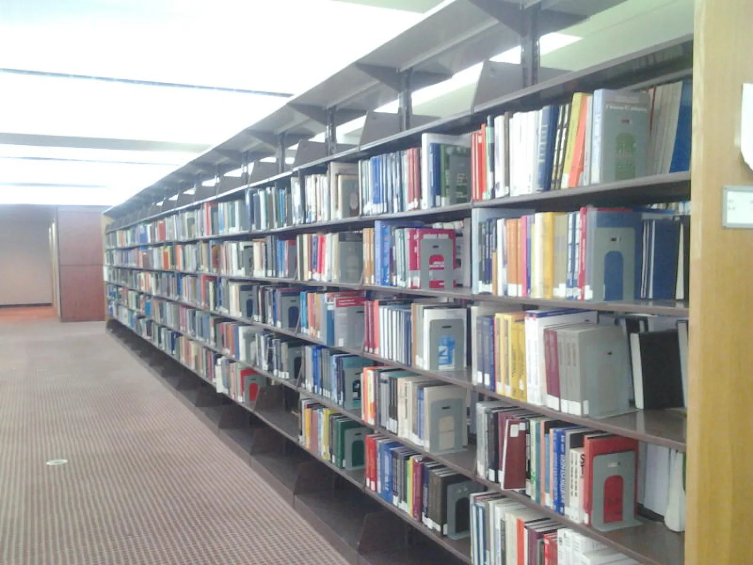 المكتبة العامة.. قصة معاناة من ثالوث «الندرة» و«القلة» و«الضعف»