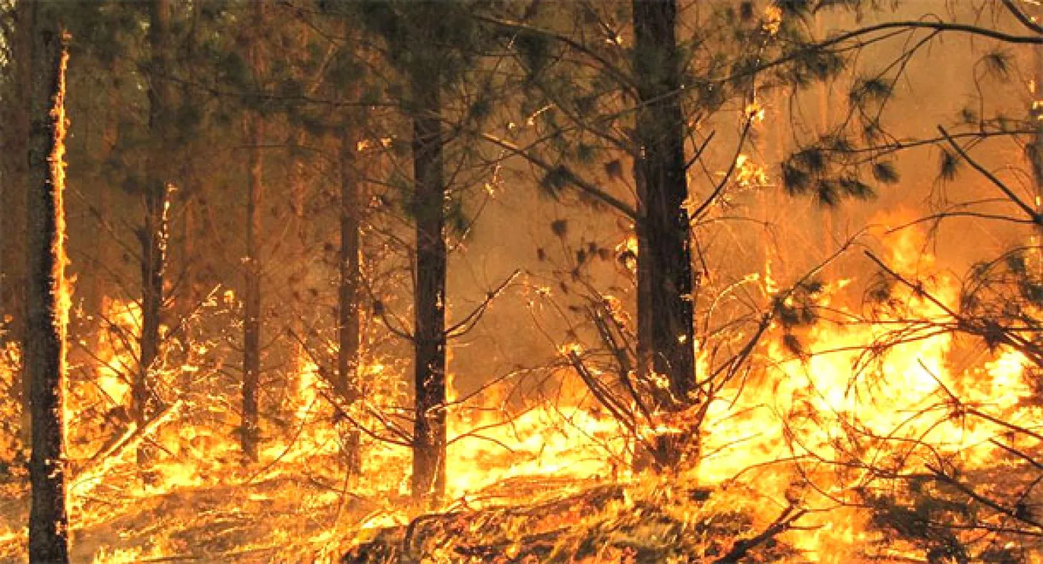 أستراليا تستعد لمواجهة حرائق عنيفة ناجمة عن موجة الحر