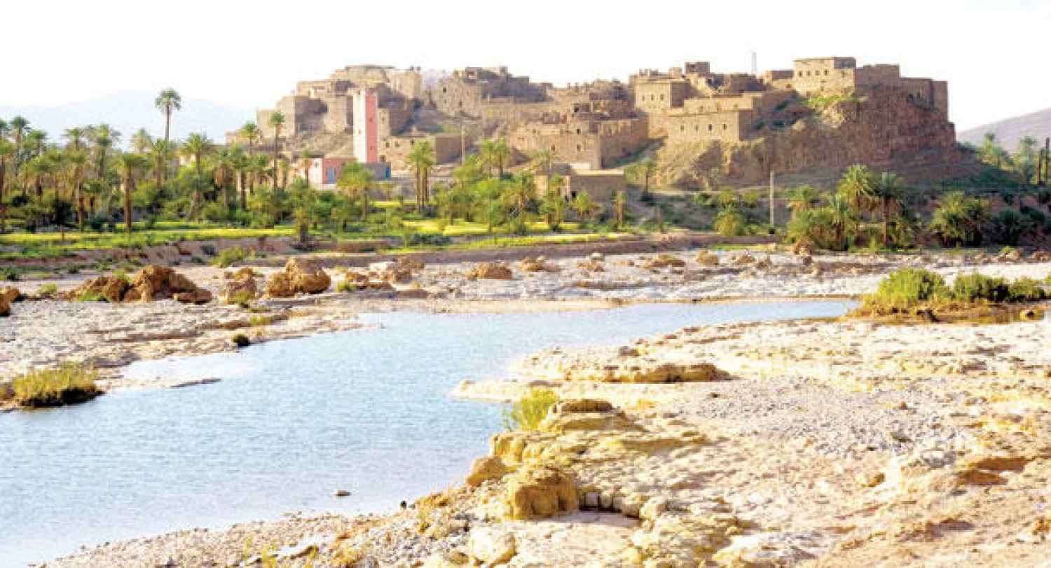 واحة في جنوب المغرب («الشرق الأوسط»)