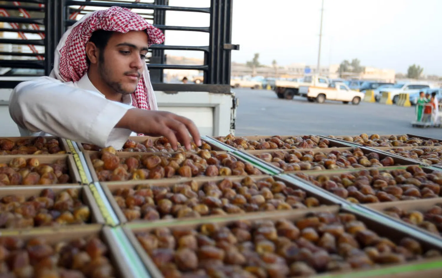 دراسة توصي بالاستفادة من بقايا التمور كأعلاف حيوانية بالغة الفائدة («الشرق الأوسط»)
