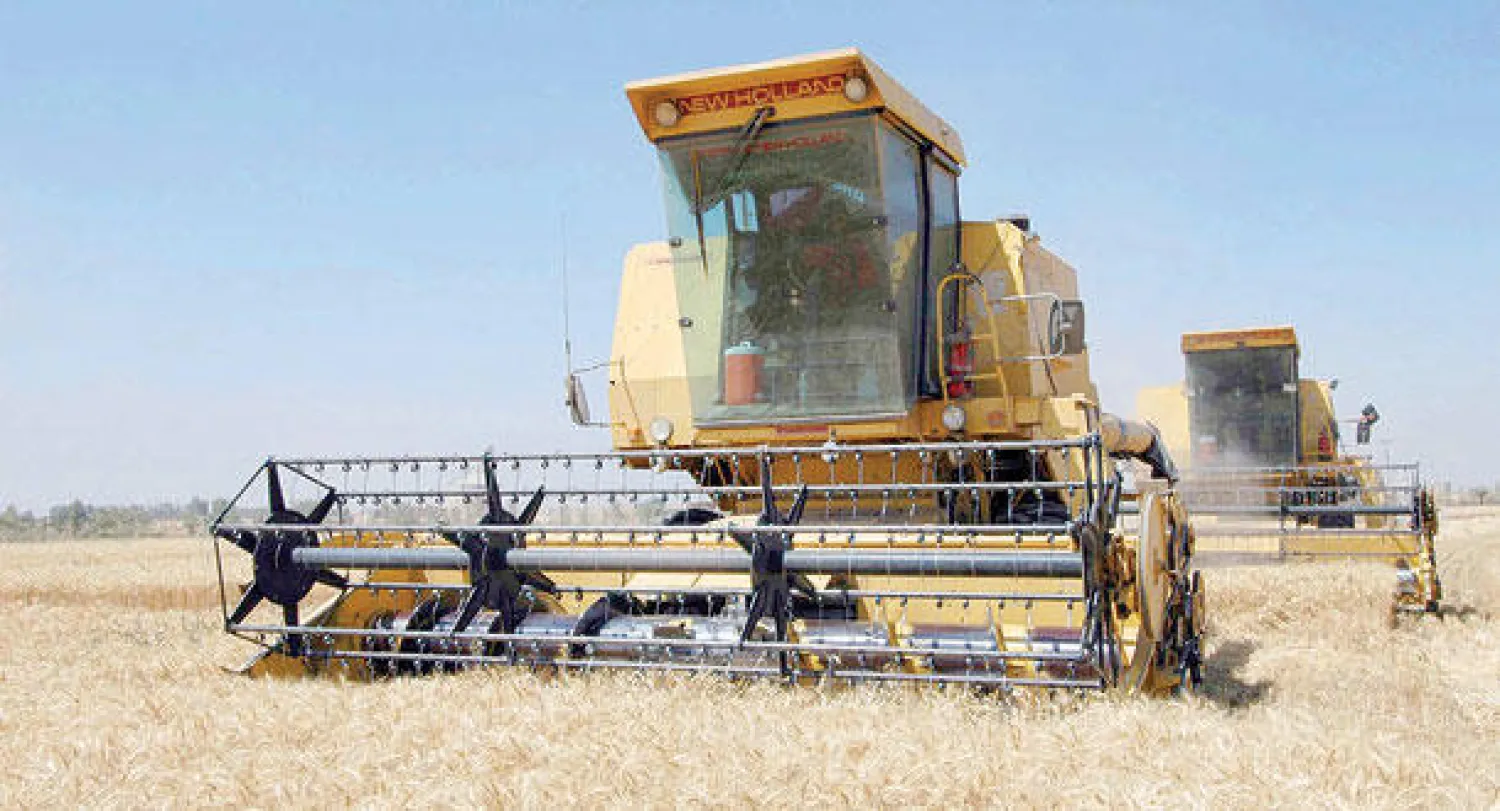 ترنو الخطة الوطنية إلى الحد من تعرية الأشجار للحفاظ على التوازن البيئي في السعودية («الشرق الأوسط»)