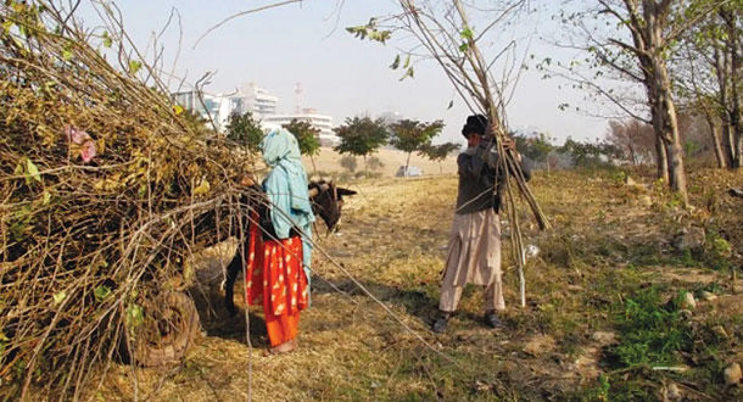 استخدام الأشجار في التدفئة على نحو واسع خلال شهور الشتاء  يهدد مظلة باكستان الخضراء (نيويورك تايمز)