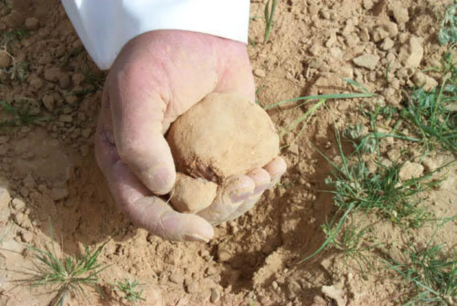 السلطات السعودية تشدد على الالتزام بالحدود بعد رصد تجاوزات من باحثي الكمأ