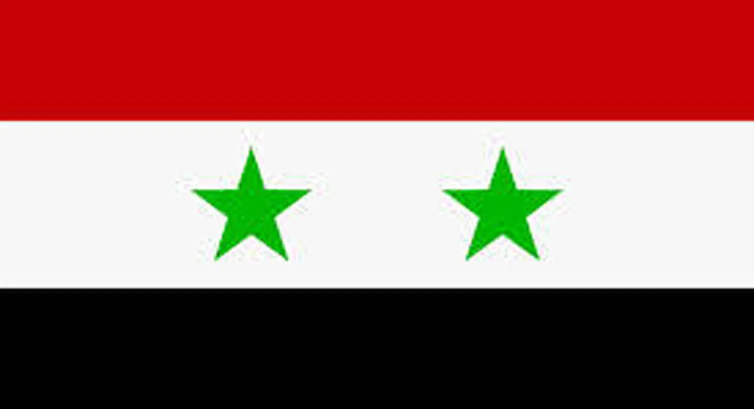 النظام يدير حملة «شعبية» في مناطقه لتأييد بقاء الأسد في السلطة