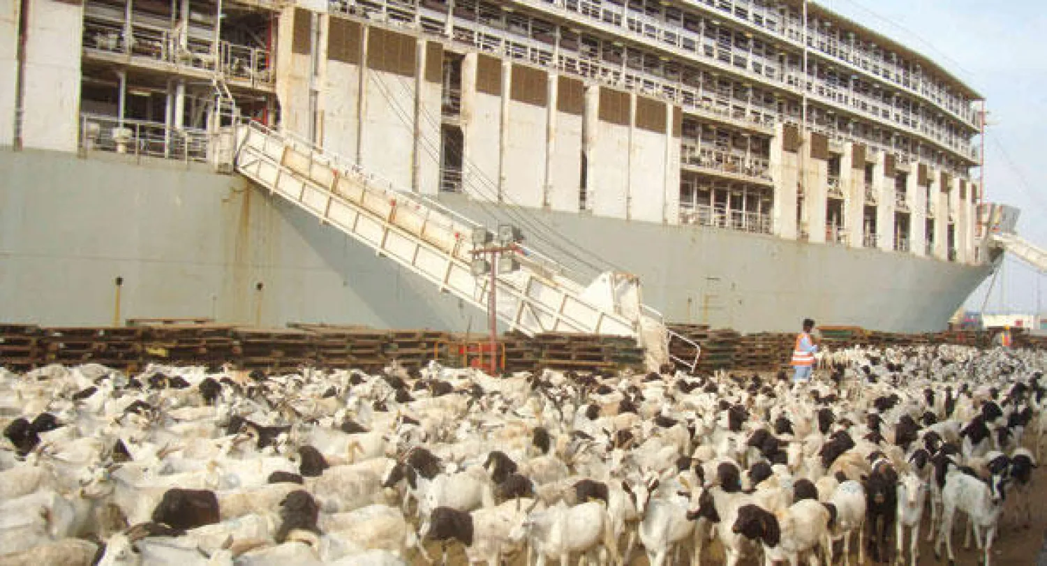 السعودية أبدت استعدادا لاستقبال اللحوم المذبوحة من السودان («الشرق الأوسط»)