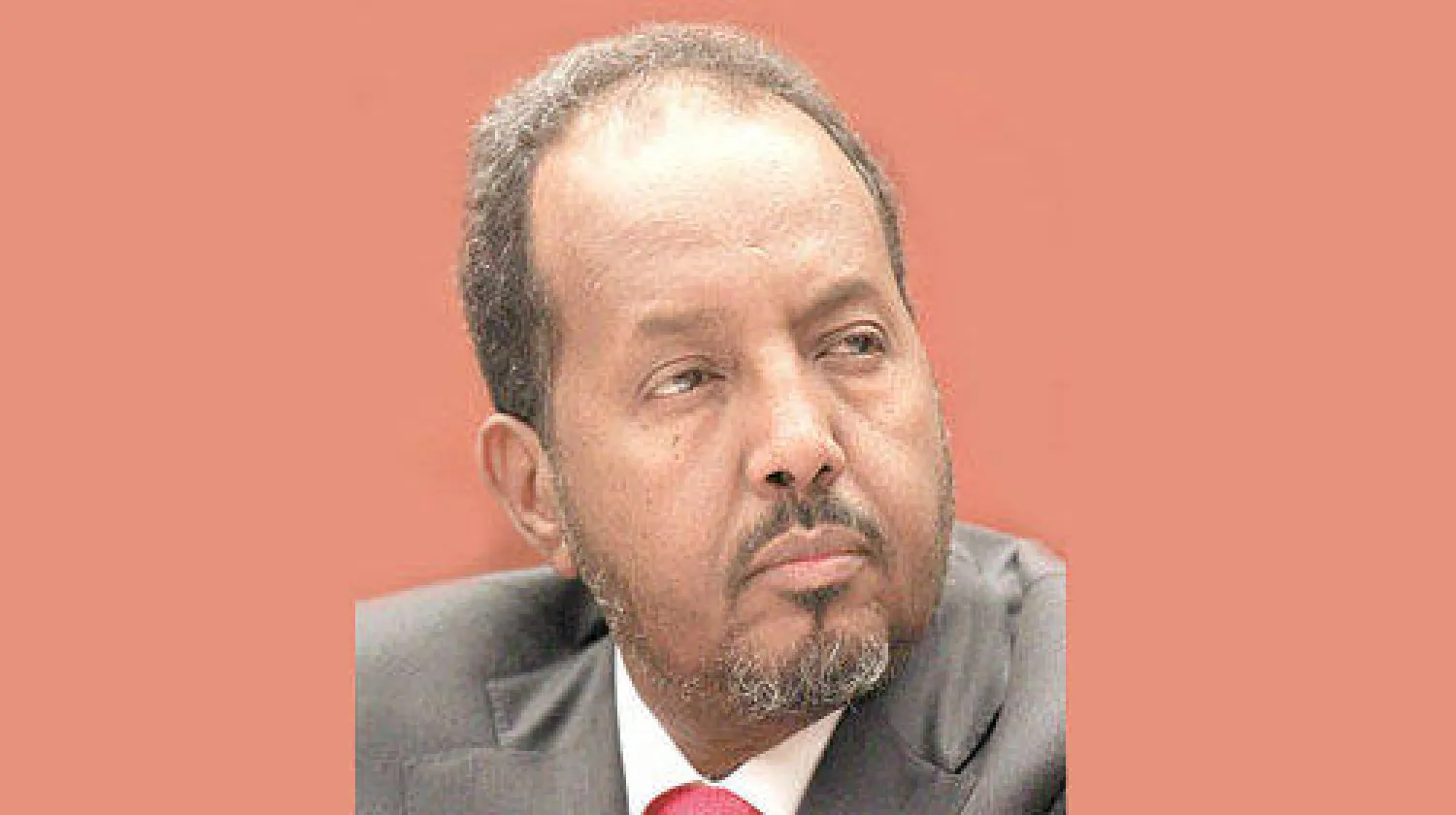 حسن الشيخ محمود