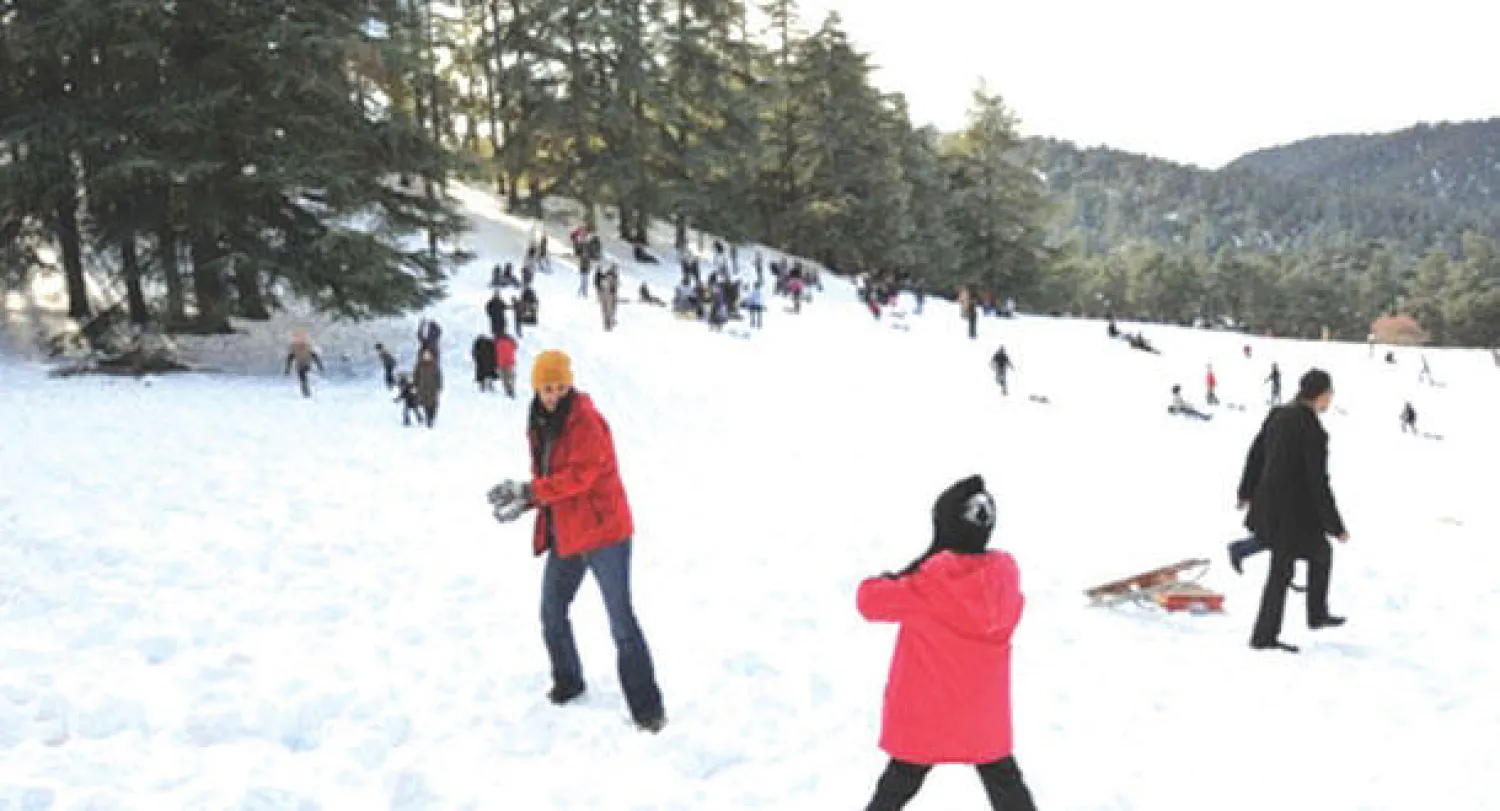 «سويسرا الصغيرة» تحيط بها غابة ضخمة