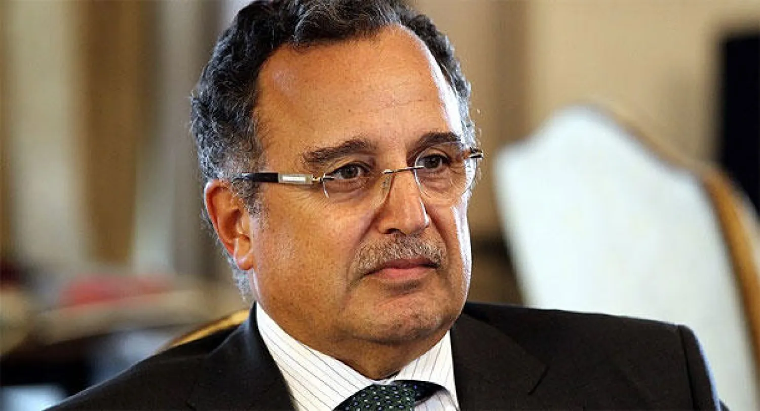 وزير الخارجية المصري: نتقدم بحزم وثبات  في تنفيذ «خريطة المستقبل» رغم التحديات