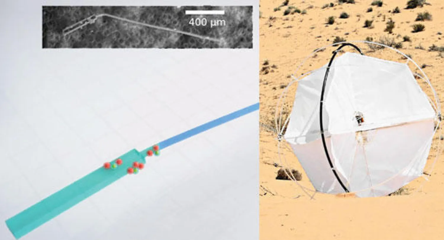 روبوتات تسبح كالحيوانات المنوية وتتدحرج على الرمال لدراسة مشكلة التصحر