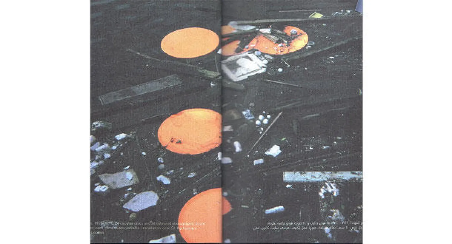 من معرض الفنان رشيد آرانين «قبل وبعد التقليلية»