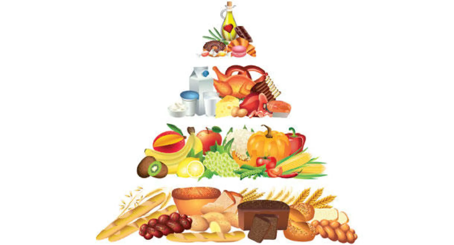 أهمية الكربوهيدرات.. في نظامك الغذائي