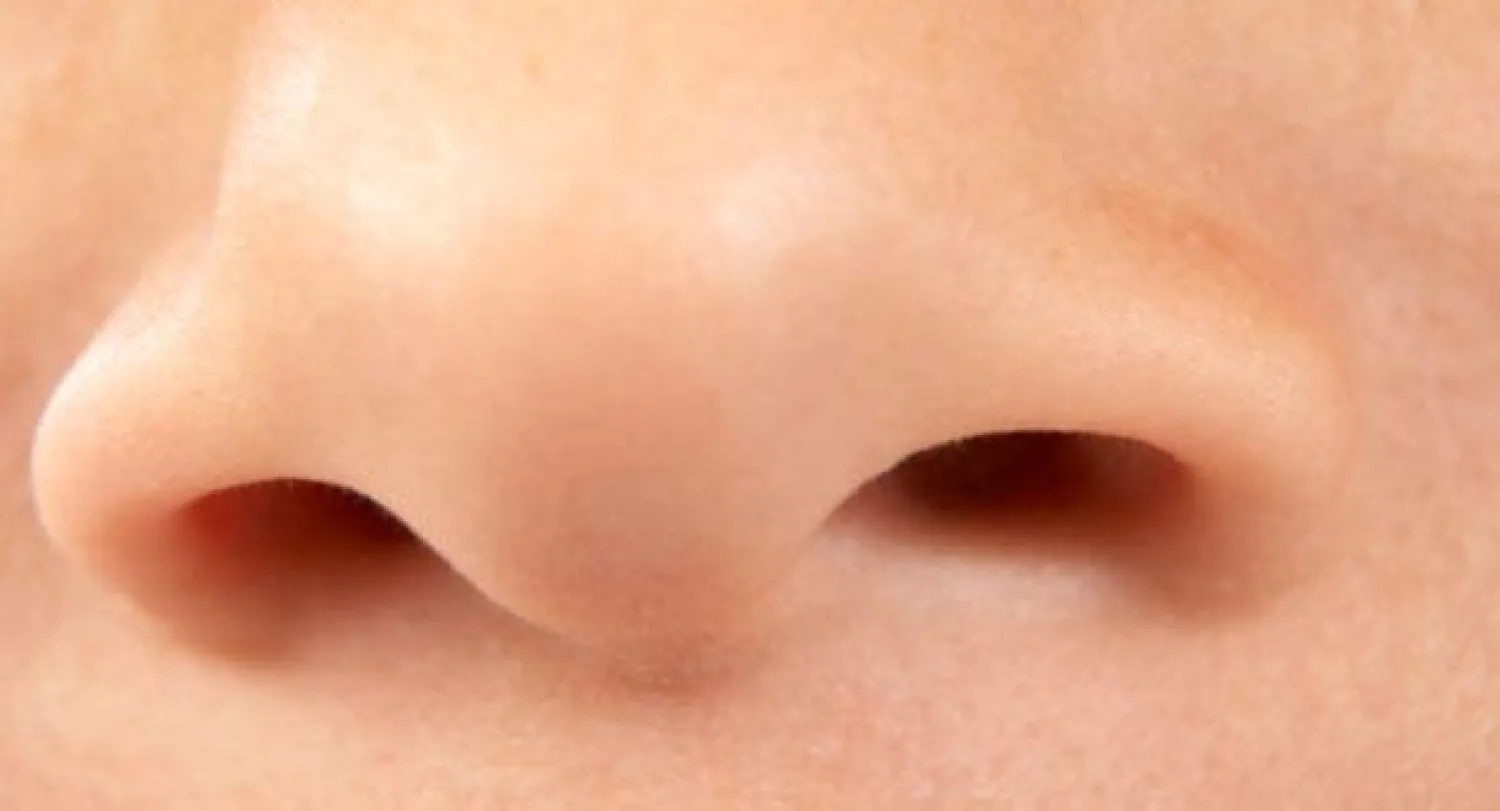 بحث جديد: أنف الإنسان يمكنه التعرف إلى أكثر من تريليون رائحة