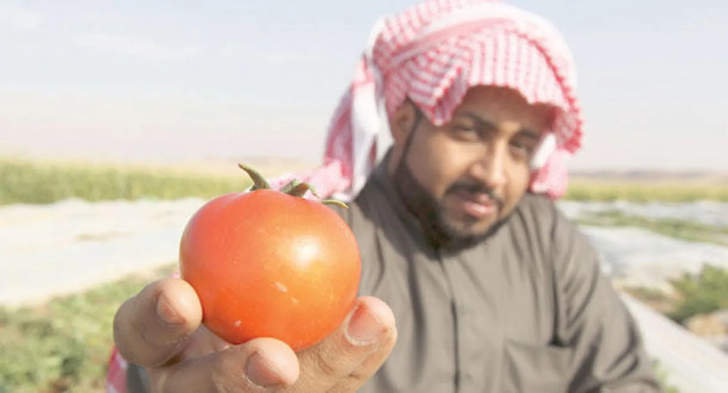 القطاع الزراعي السعودي من أهم القطاعات التي تشهد اهتماما ضمن العلاقات السعودية المجرية (رويترز)