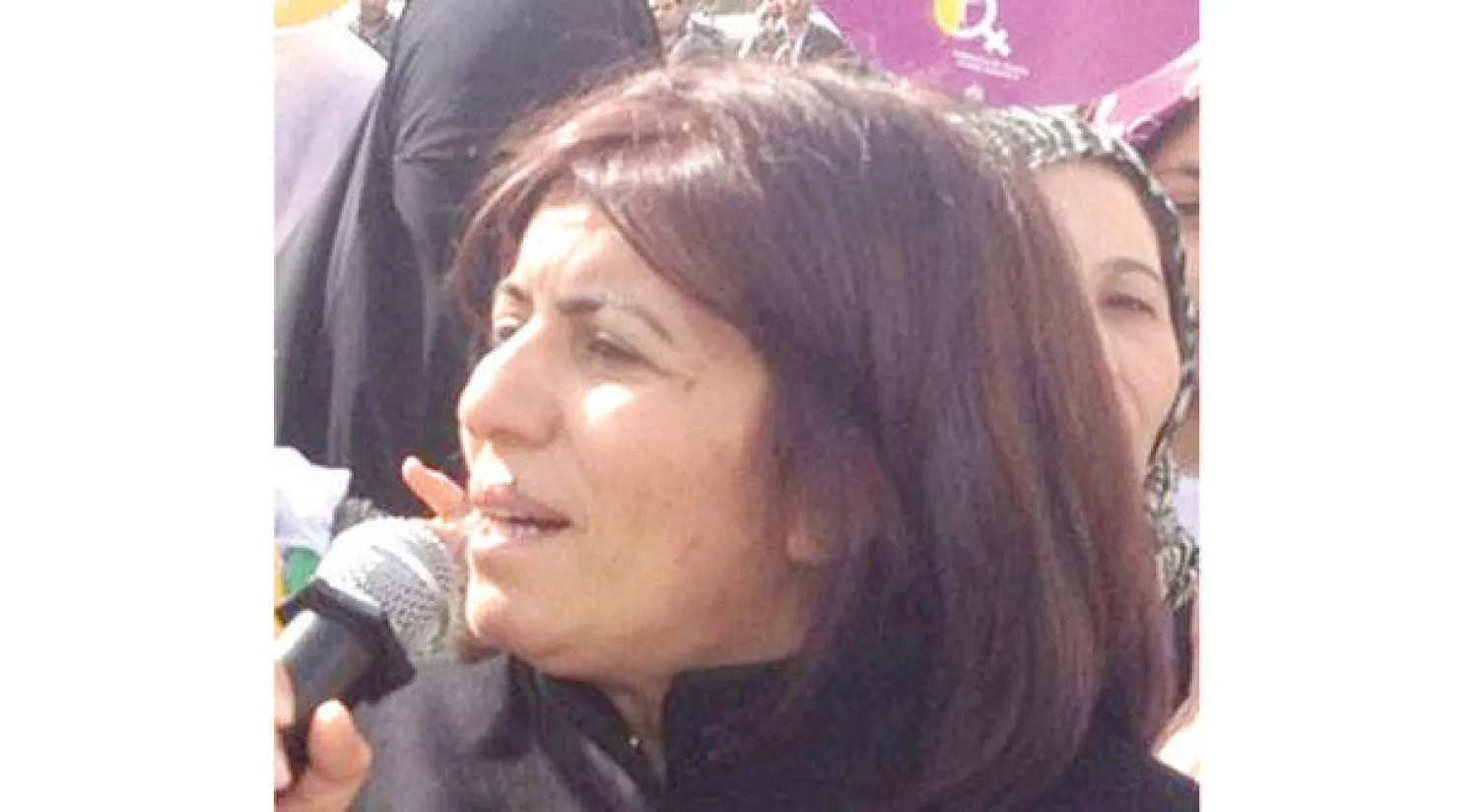 زبيدة بكر زمرد