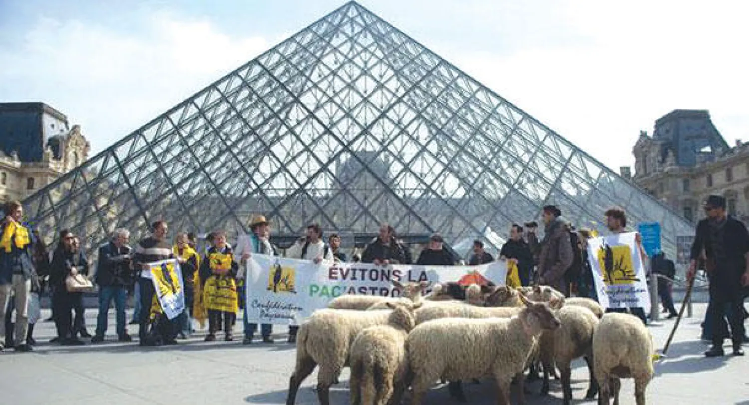 الخراف تغزو متحف اللوفر في باريس