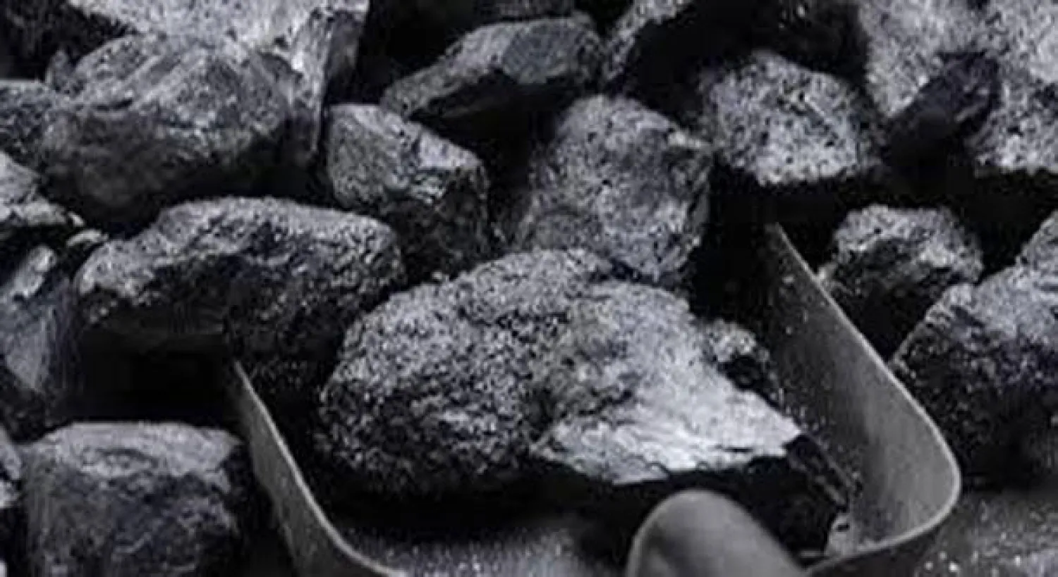 مجلس الوزراء المصري يوافق على استخدام الفحم في توليد الكهرباء