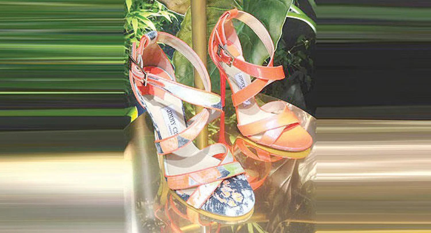 جيمي شو.. تطرح  أسهمها في البورصة