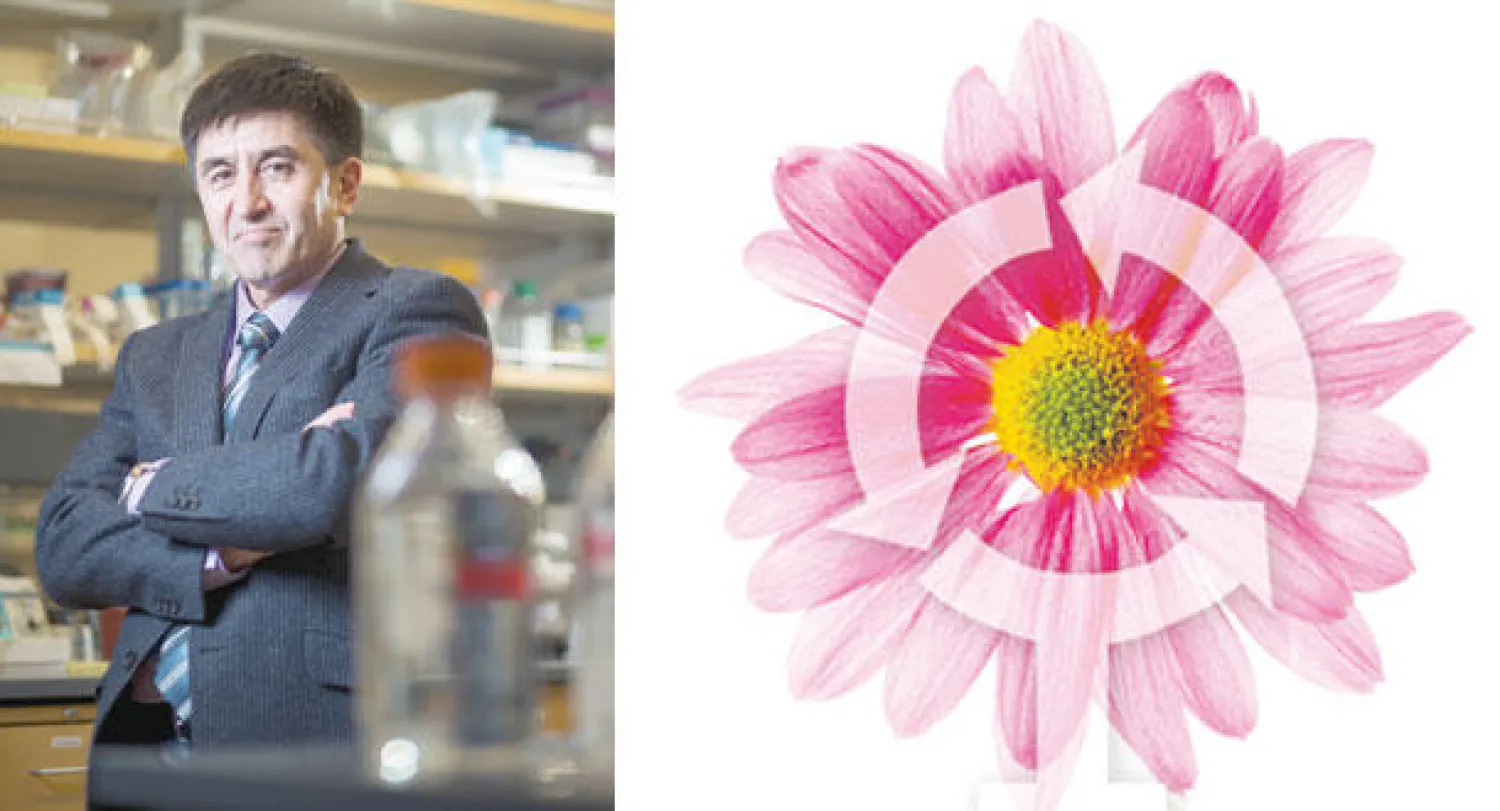 أبحاث رائدة للحصول على أطفال أصحاء