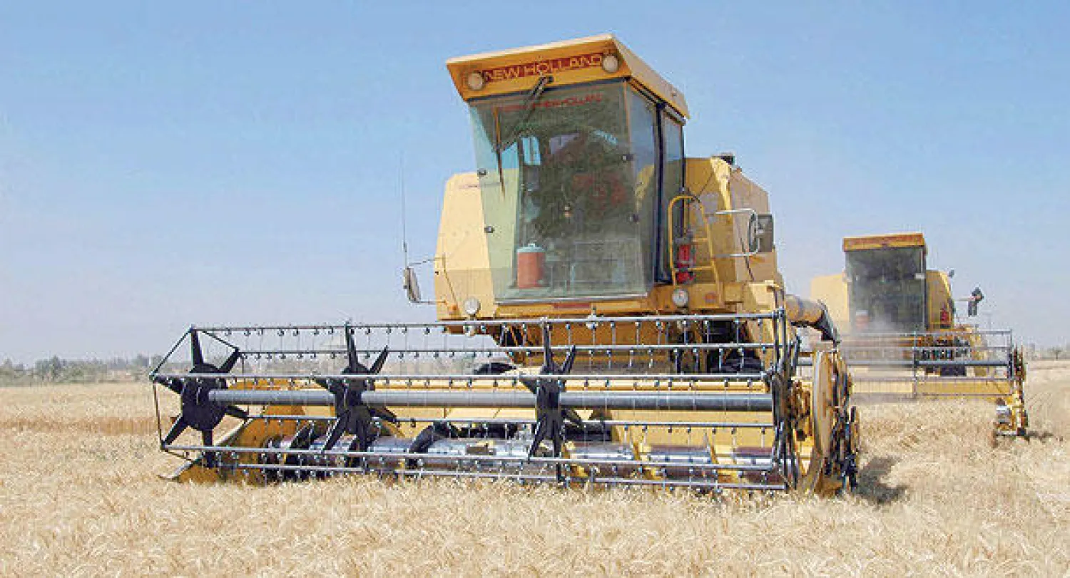 الحاجة إلى القمح كمنتج غذائي ضروري تقدر بثلاثة ملايين طن سنويا في السعودية («الشرق الأوسط:)