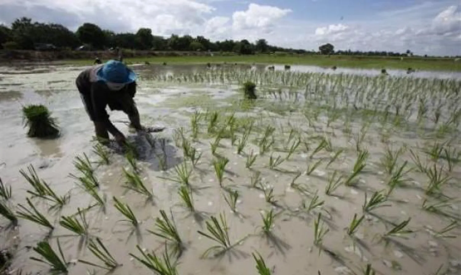 الصين تبدأ تنظيف تلوث التربة وسط شكوك بشأن التمويل