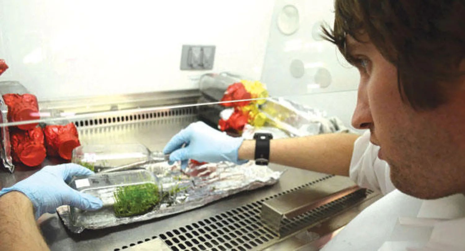 متطوع  يقوم بزرع زهور الأوركيد داخل زجاجة في ميامي (رويترز)