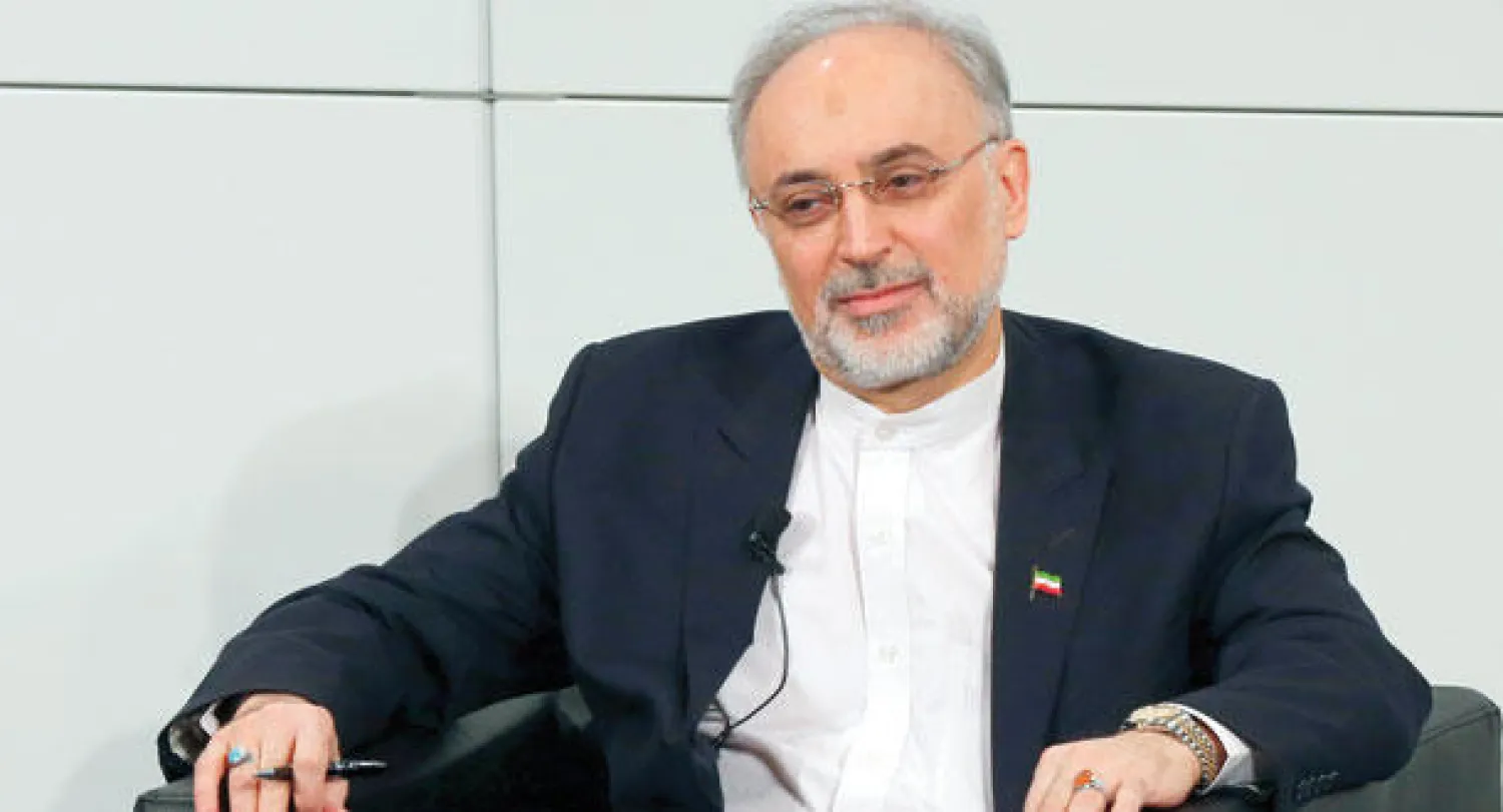 علي أكبر صالحي {عرّاب الملف النووي}