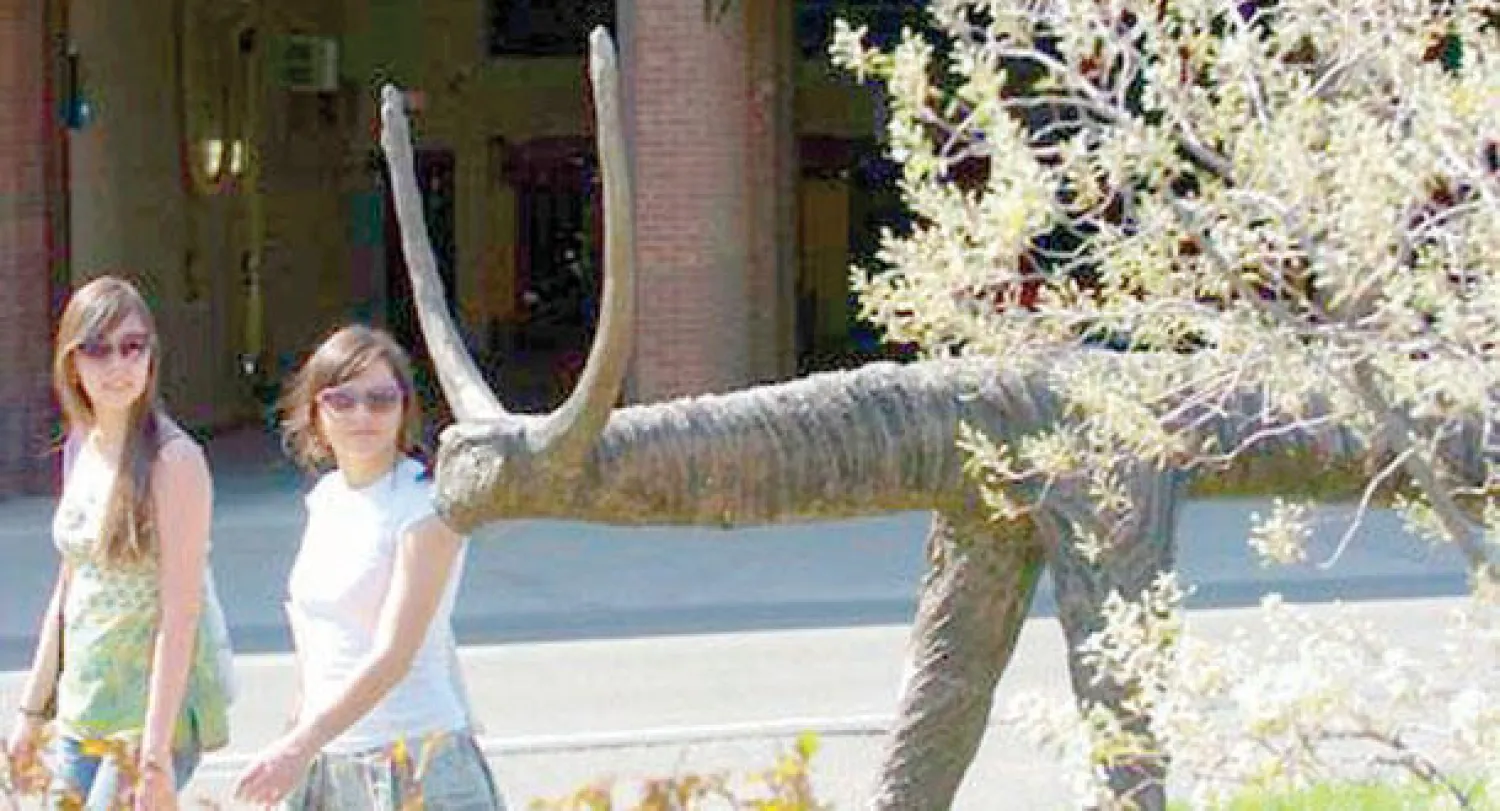 واحدة من الأبقار الخشبية في شوارع مدن أميركية