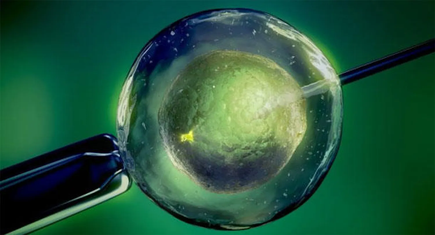 علاج لضعف الخصوبة لدى النساء