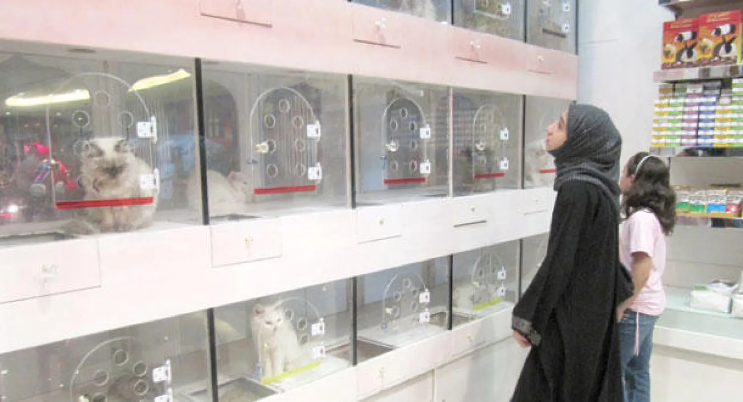 السعودية تتجه حاليا لتفعيل نظام (قانون) «الرفق بالحيوان» لتكون الأولى خليجيا في تطبيقه («الشرق الأوسط»)