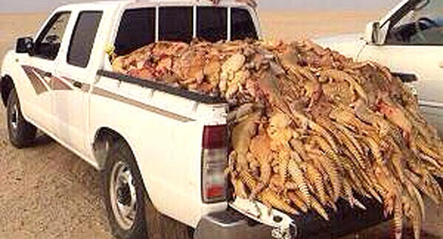 السلطات السعودية تقبض على مرتكب مجزرة الحيوان البري معرض للإنقراض (الشرق الأوسط)