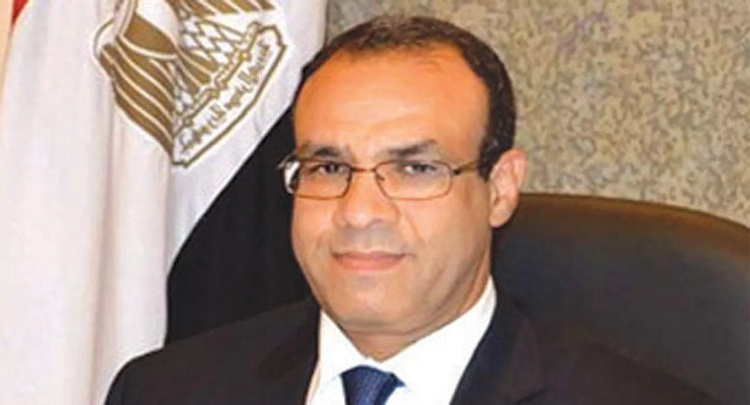 السفير بدر عبد العاطي