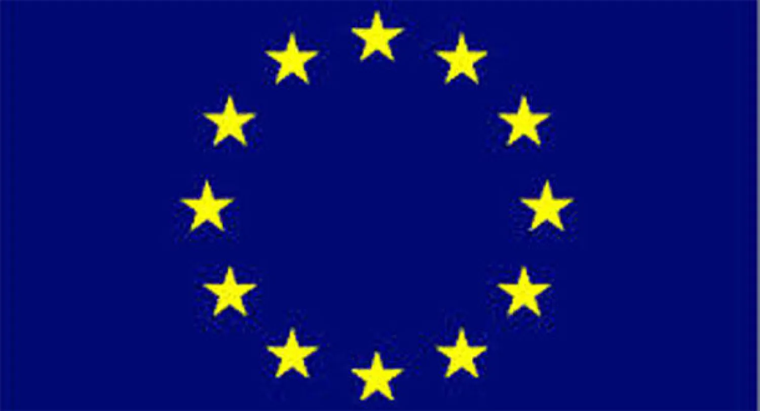 الغموض يحيط بمستوى مشاركة الاتحاد الأوروبي في مراقبة انتخابات الرئاسة بمصر