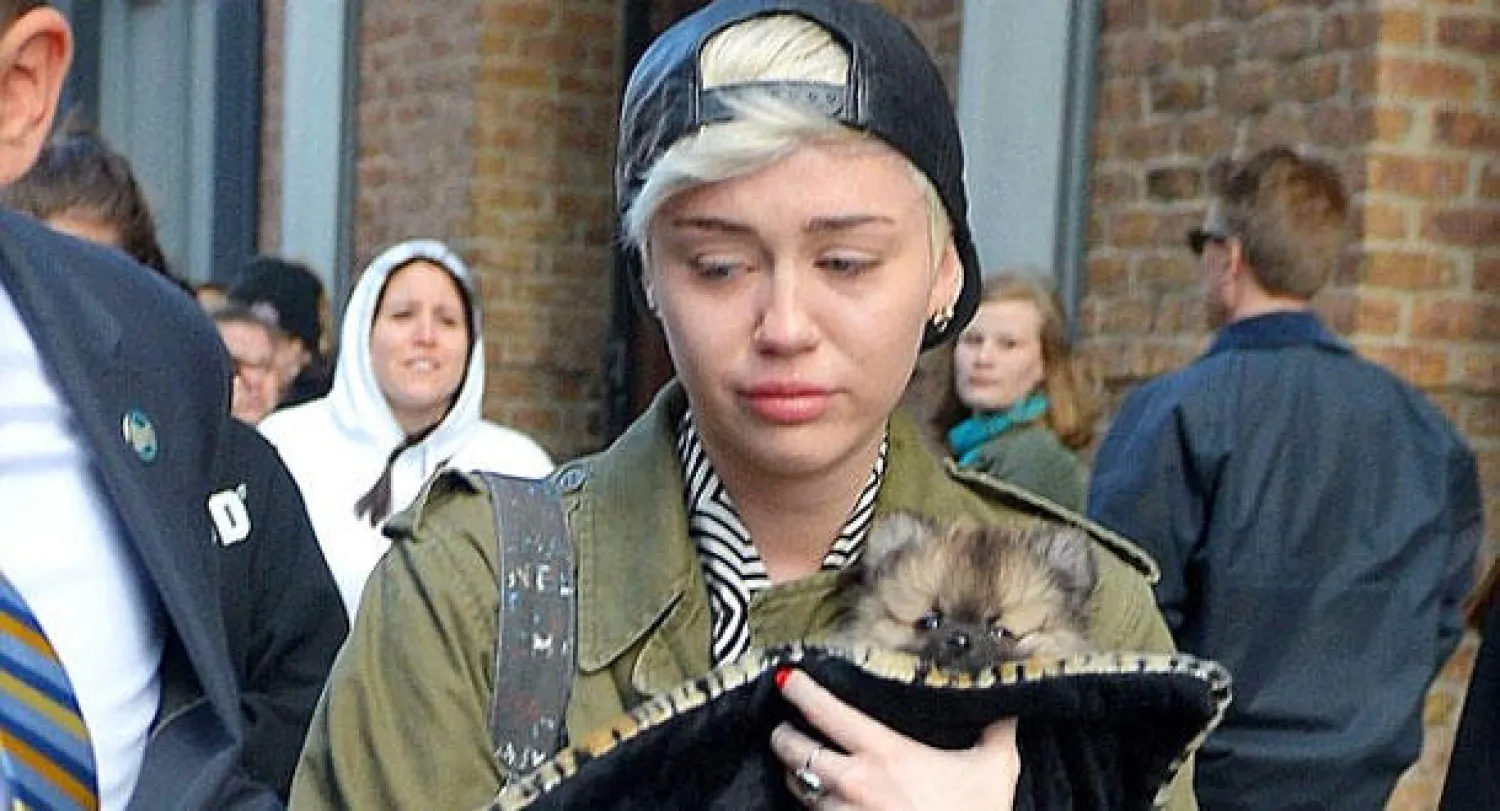 المغنية مايلي سايروس في حداد على روح كلبها