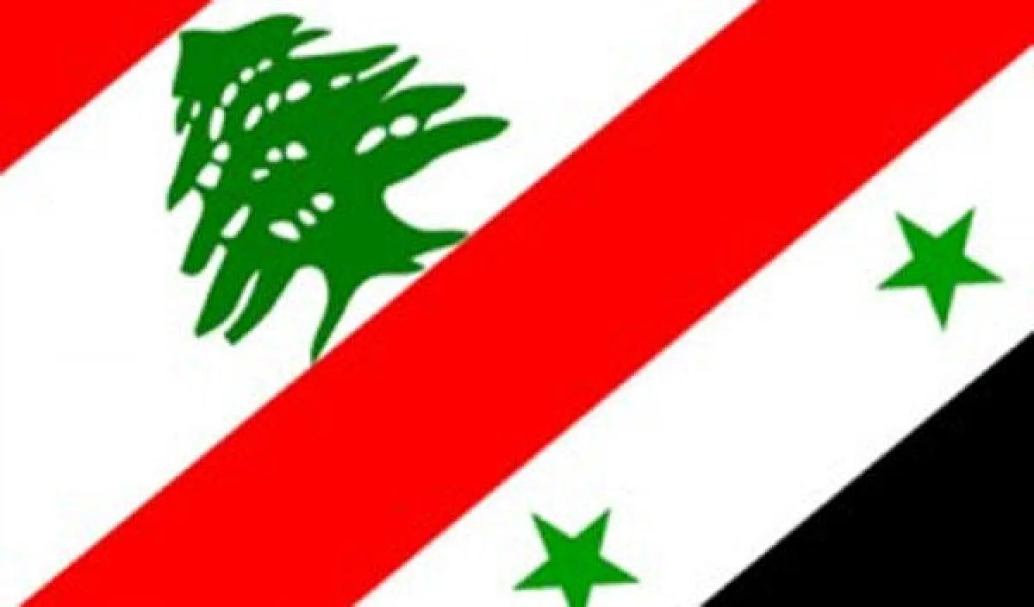منع اللاجئين السوريين في لبنان من القيام بأي تجمعات سياسية عشية الانتخابات الرئاسية في سوريا